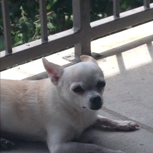 Meet your Posher, Ann